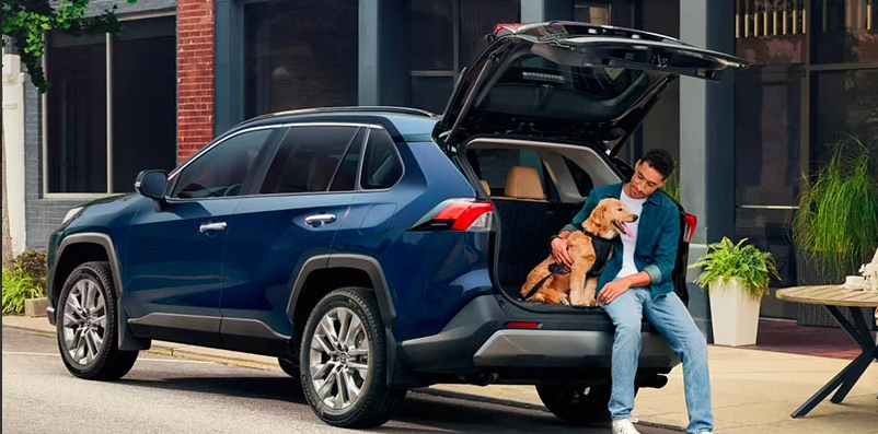 A man and his dog sat in the back of a 2025 Toyota RAV4 Hybrid.