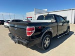 2009 Ford F-150 Base