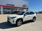 2019 Toyota RAV4 Hybrid Limited